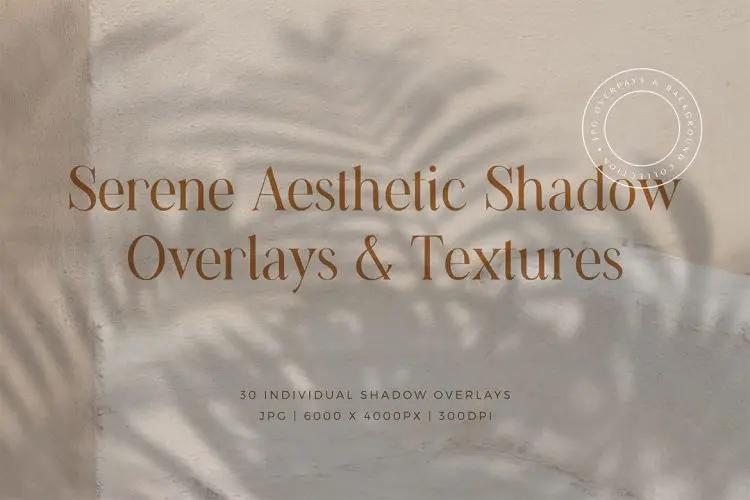 Serene Aesthetic Shadow Overlays  30款自然文艺植物树叶影子阳光投影光影阴影质感背景底纹图片素材